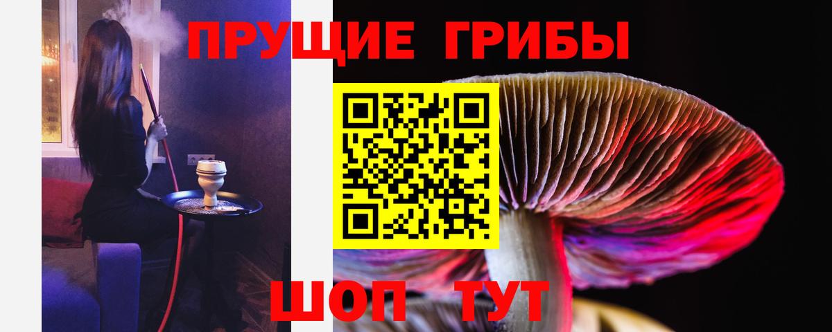 Тамбов  купить закладку  Галлюциногенные грибы Cubensis  Вход с VPN  Галлюциногенные грибы прущие грибы 