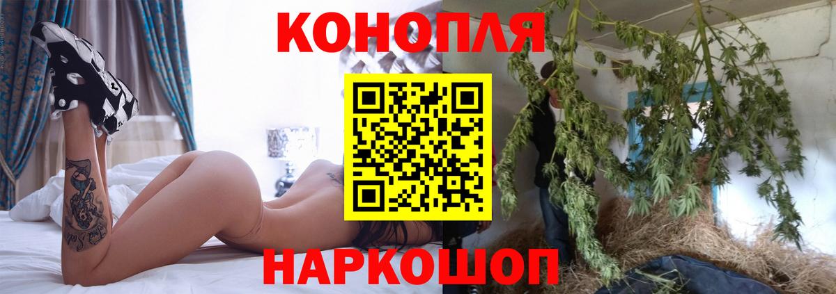 Конопля план  Вход с VPN  Тамбов  Марихуана MAZAR  Бошки марихуана сатива 